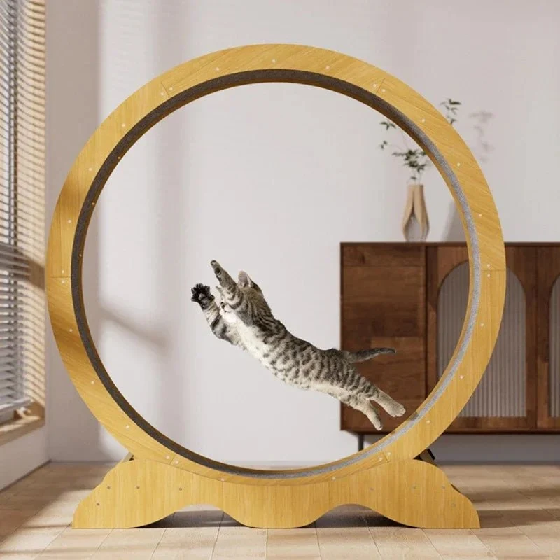 Tapis Roulant pour Chats Actifs