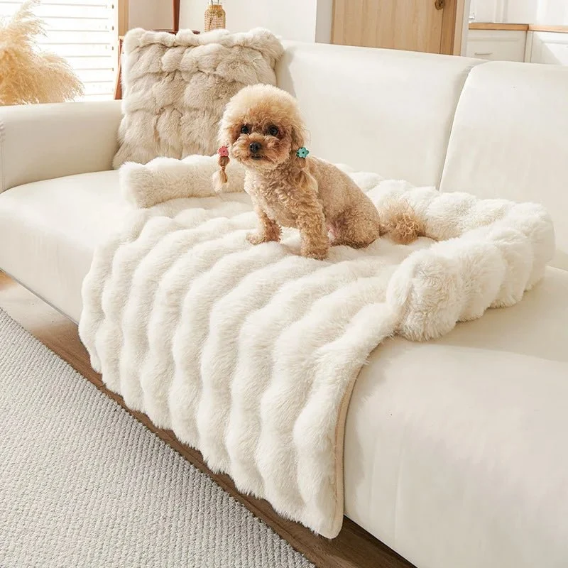 Tapis chien anti poils