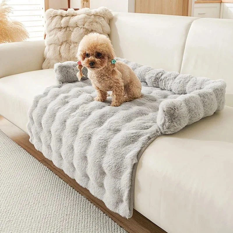 Tapis chien anti poils