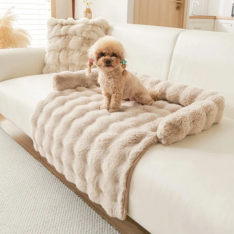 Tapis chien anti poils