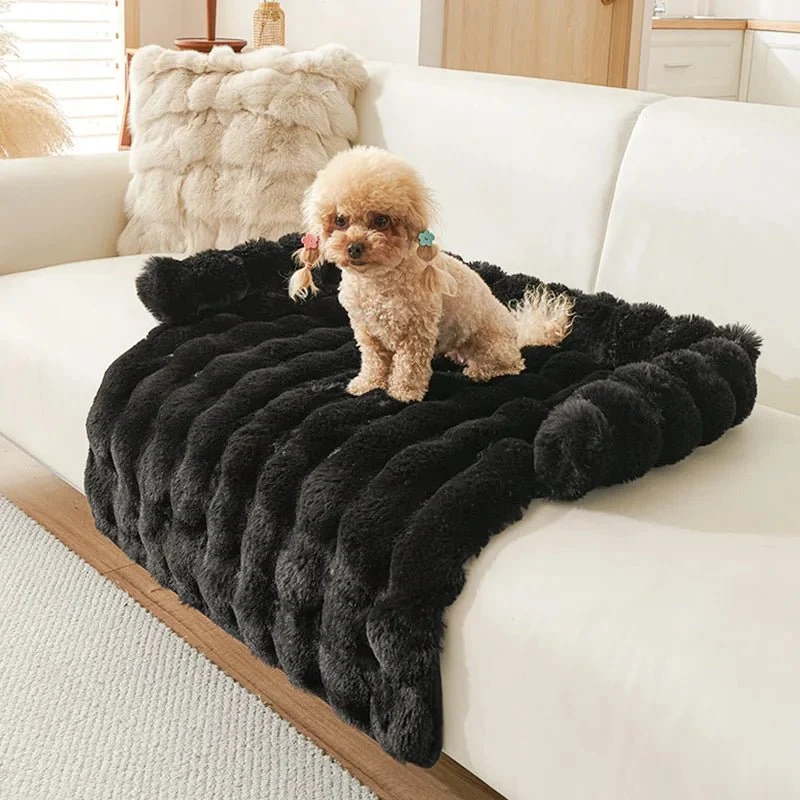 Tapis chien anti poils