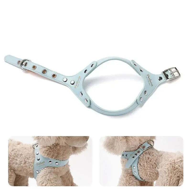 Harnais de luxe pour petit chien