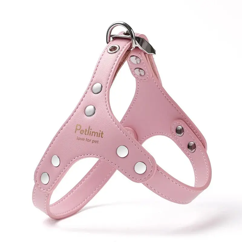 Harnais de luxe pour petit chien