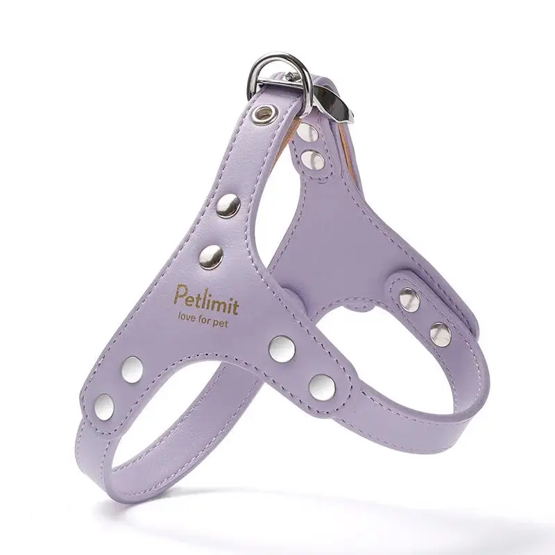 Harnais de luxe pour petit chien