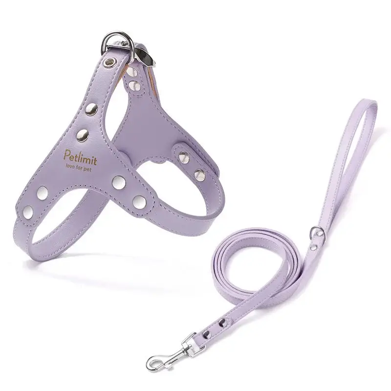 Harnais de luxe pour petit chien