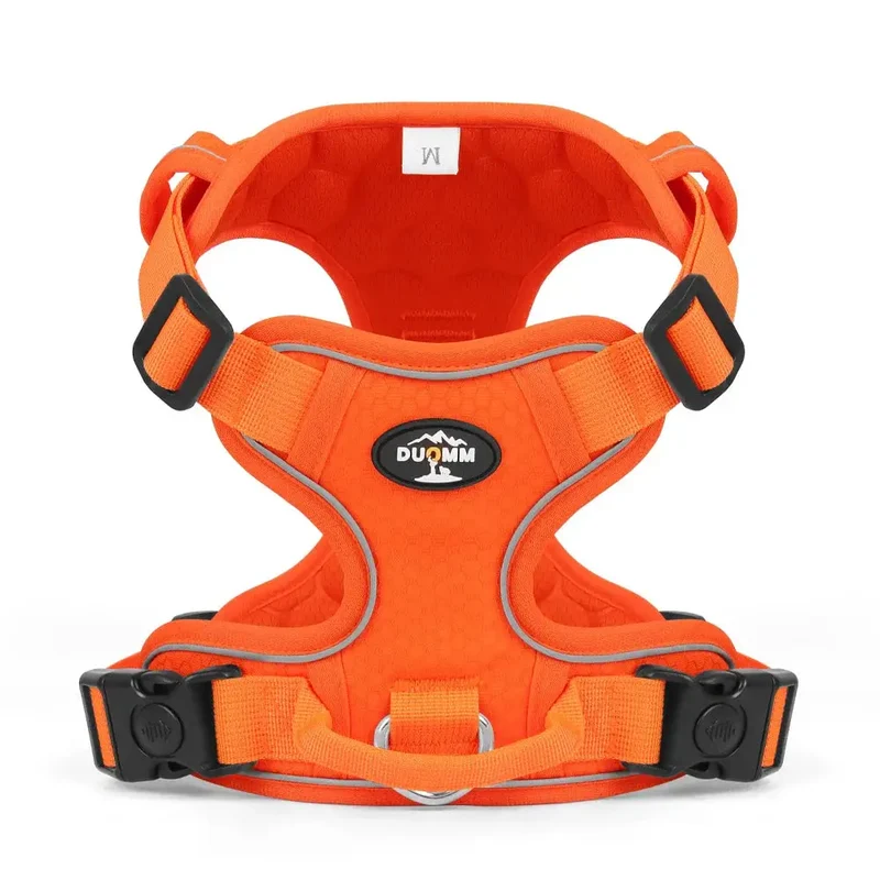 Harnais de voiture pour petit chien
