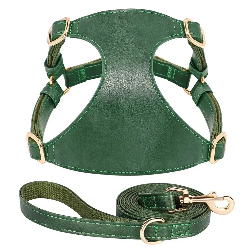 Harnais en cuir pour petit chien