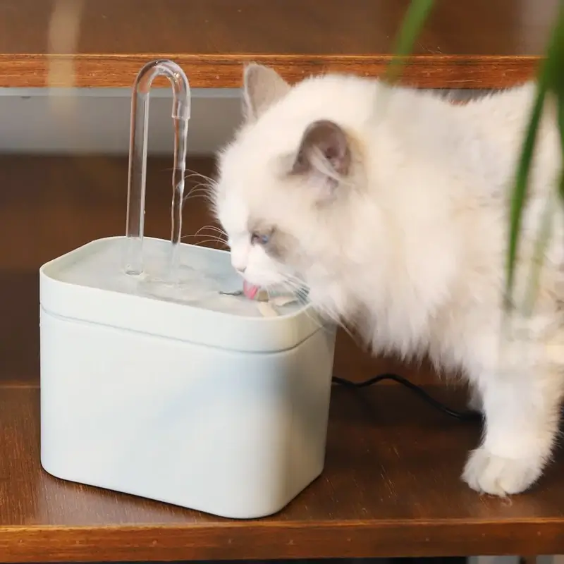 Fontaine à eau silencieuse pour chats - Hydratation fraîche et continue