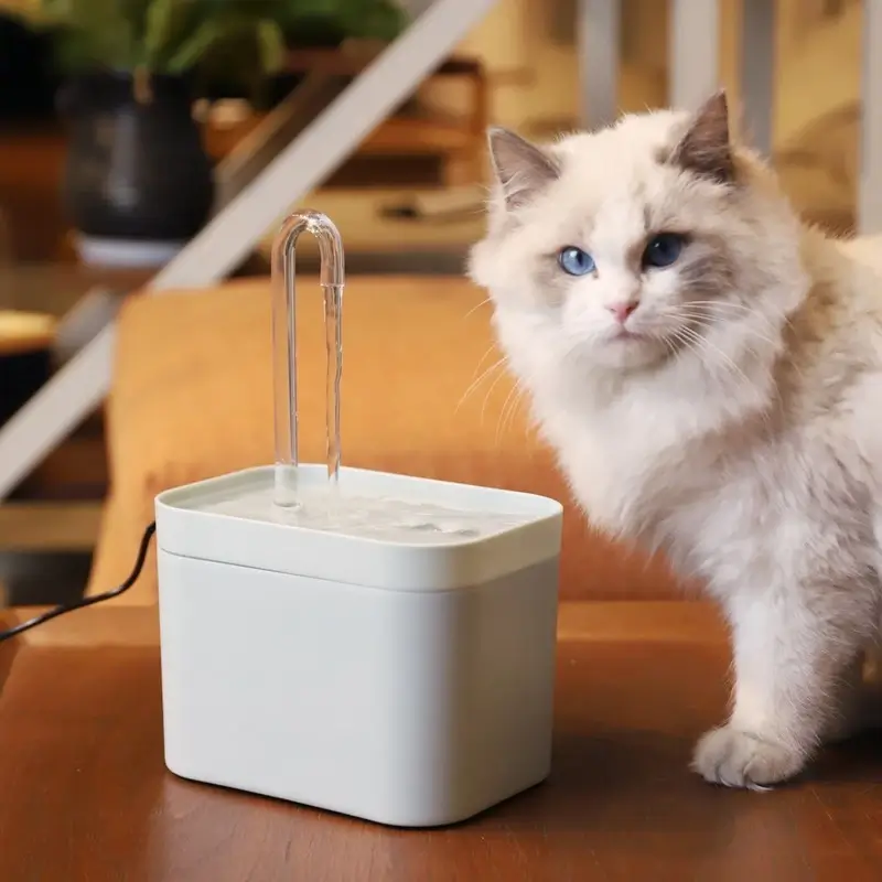 Fontaine à eau silencieuse pour chats - Hydratation fraîche et continue