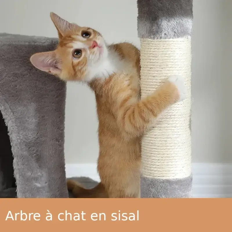 Arbre à chat multi-niveaux avec Hamacs - Griffoirs en sisal et jouets intégrés