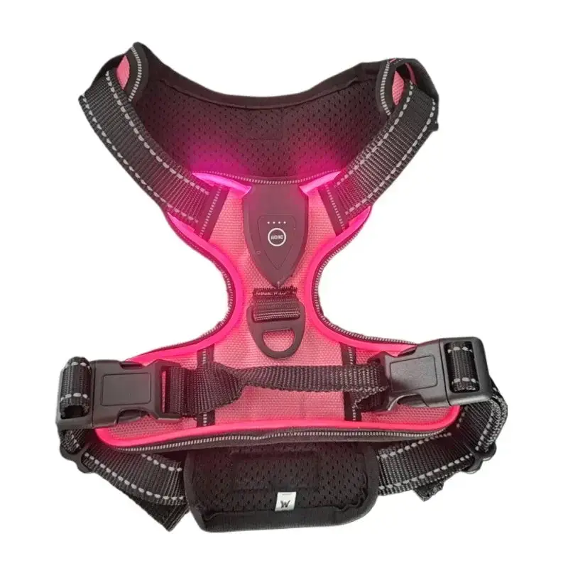 Harnais fluorescent pour gros chien