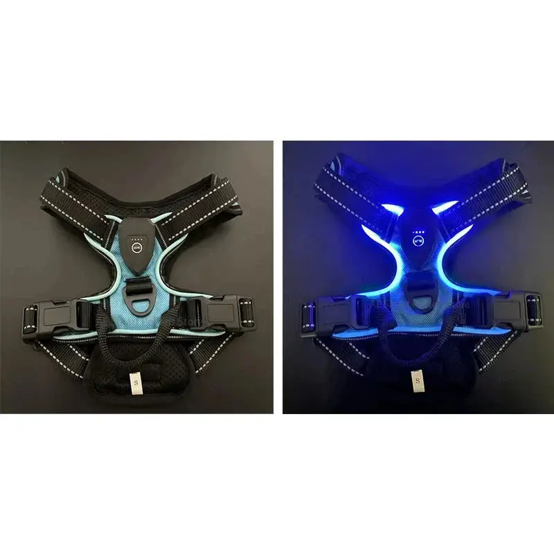 Harnais fluorescent pour gros chien
