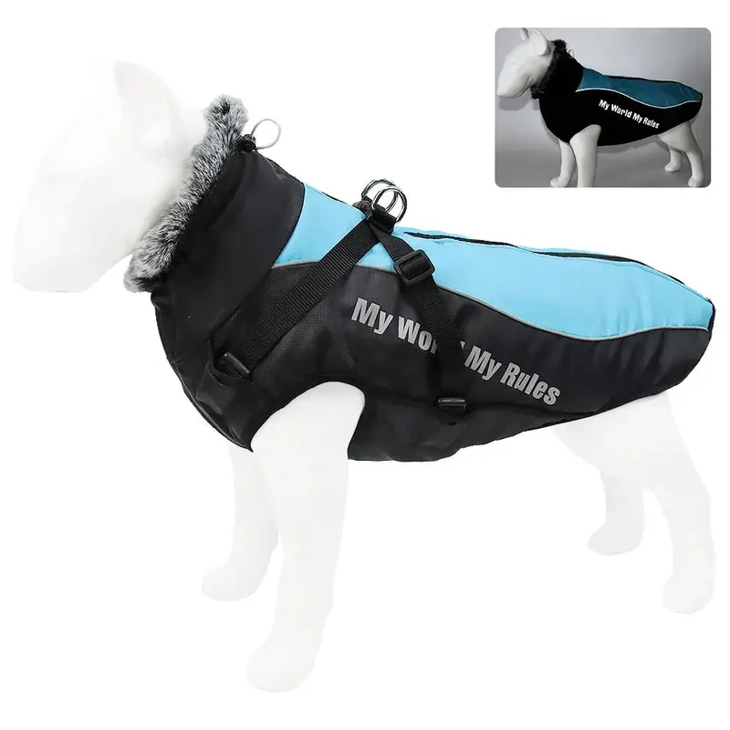 Harnais gros chien hiver