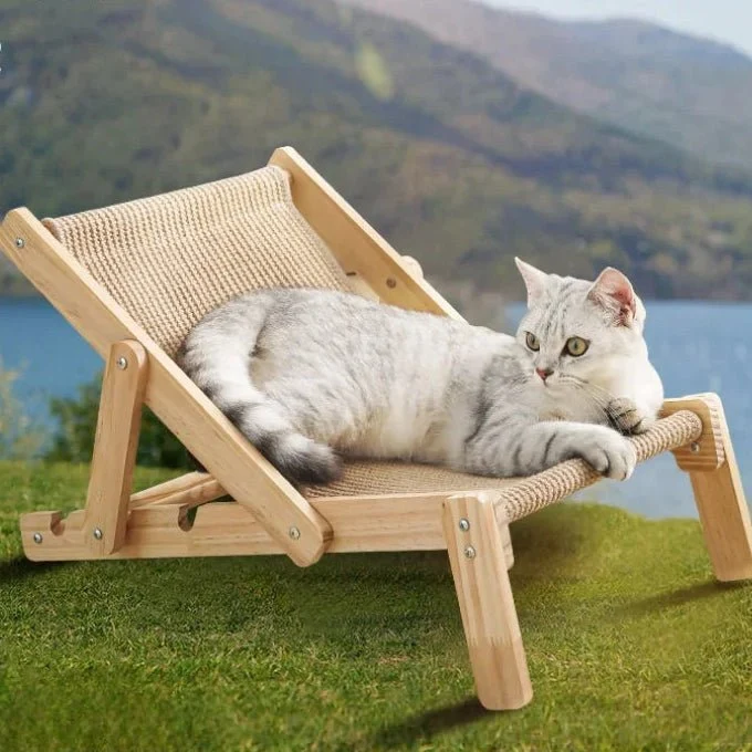 Chaise Relaxante pour Chat