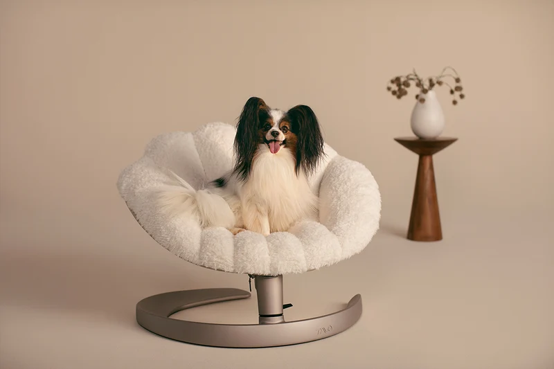 Fauteuil suspendu pour animaux Shell Tavo