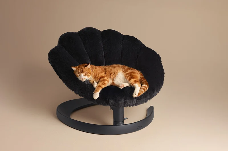 Fauteuil suspendu pour animaux Shell Tavo