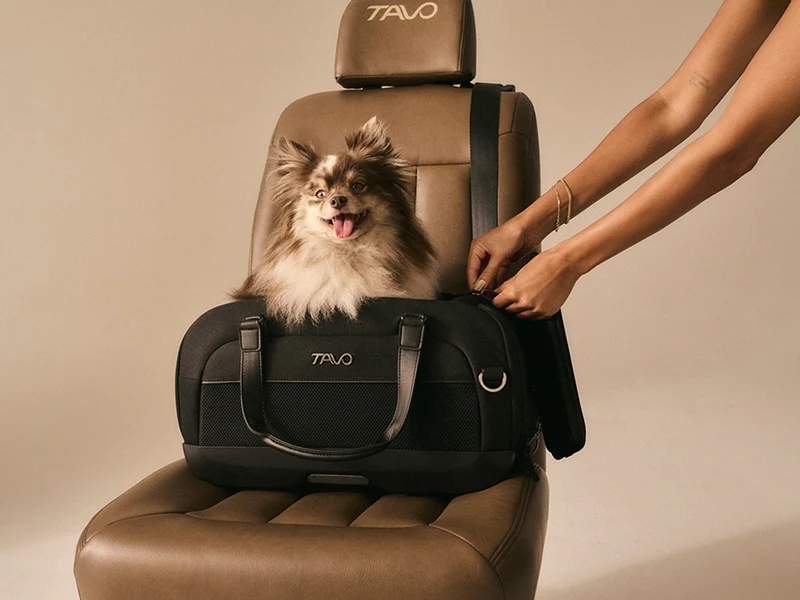 Sac de transport Dupree Tavo