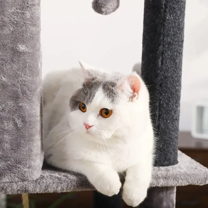 Arbre à chat 3 niveaux : Lit, jeu et griffoir
