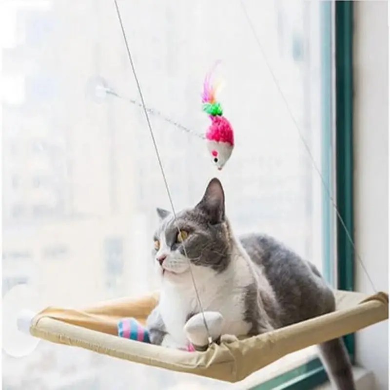 Hamac de fenêtre pour chat - Confort et vue panoramique
