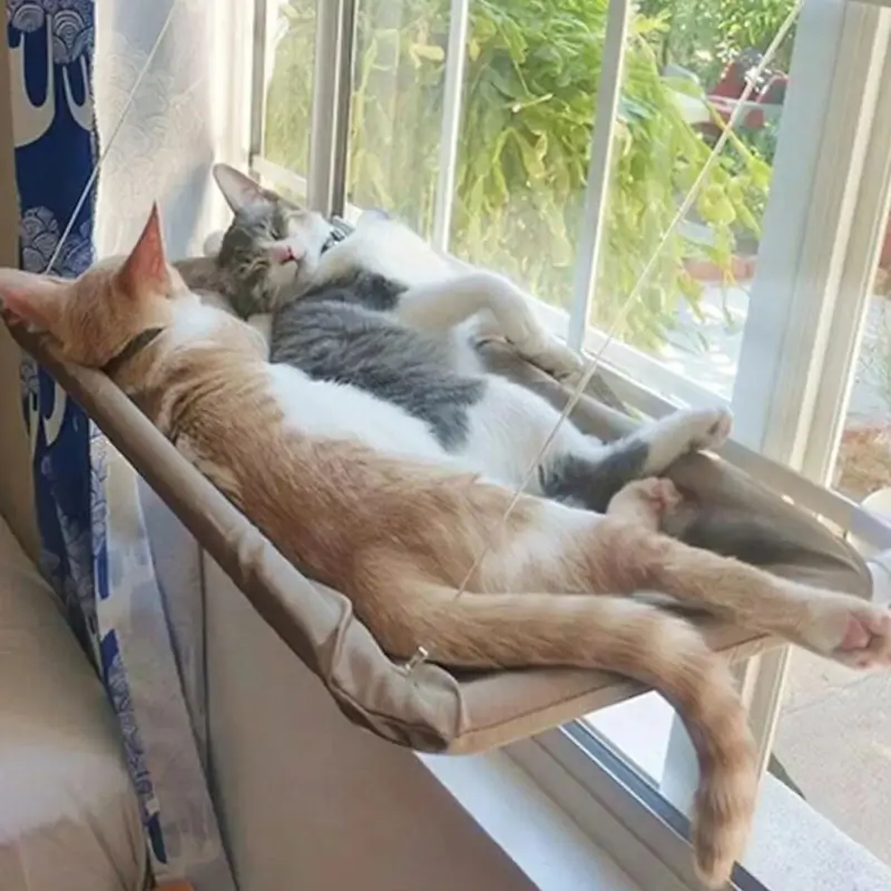 Hamac de fenêtre pour chat - Confort et vue panoramique