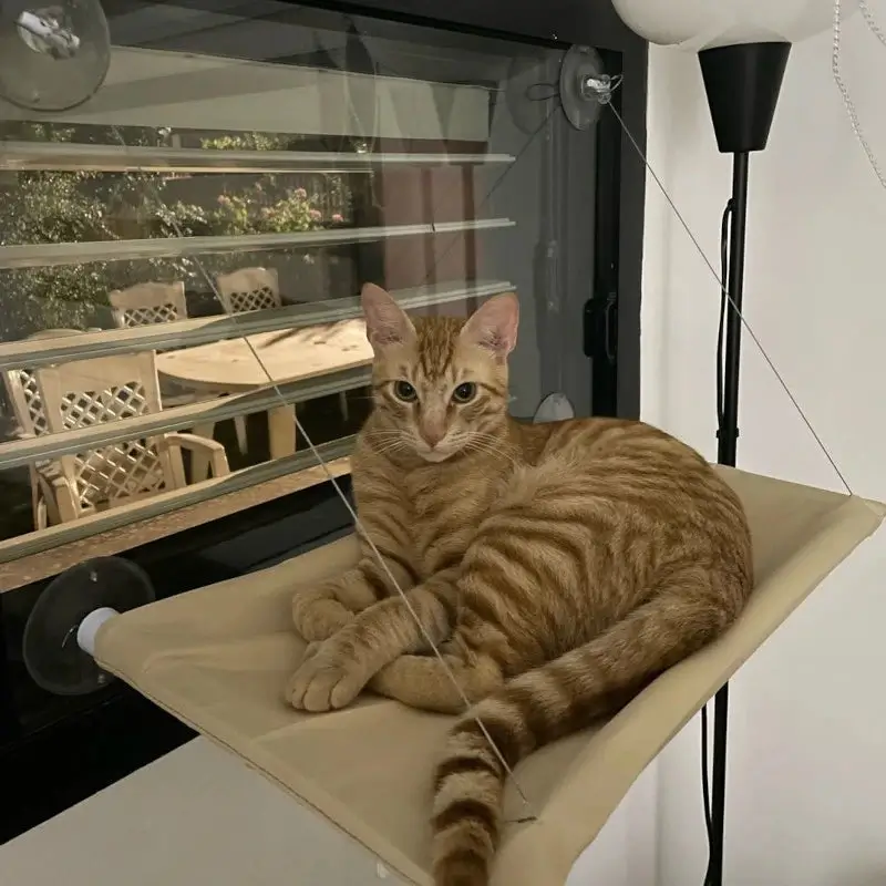 Hamac de fenêtre pour chat - Confort et vue panoramique