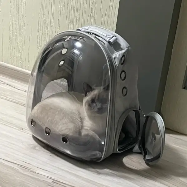 Sac à dos transparent pour chat : un transport confortable et sûr