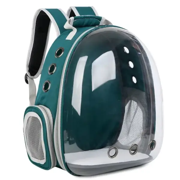 Sac à dos transparent pour chat : un transport confortable et sûr