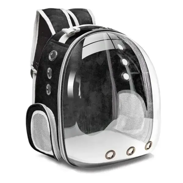 Sac à dos transparent pour chat : un transport confortable et sûr