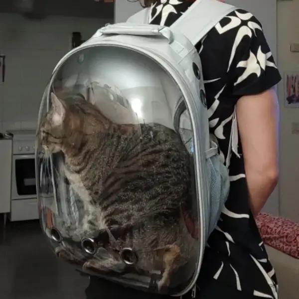 Sac à dos transparent pour chat : un transport confortable et sûr