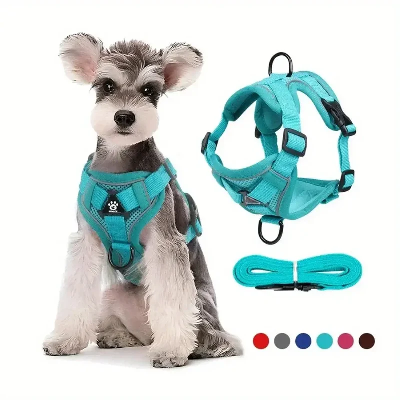 Harnais anti traction petit chien