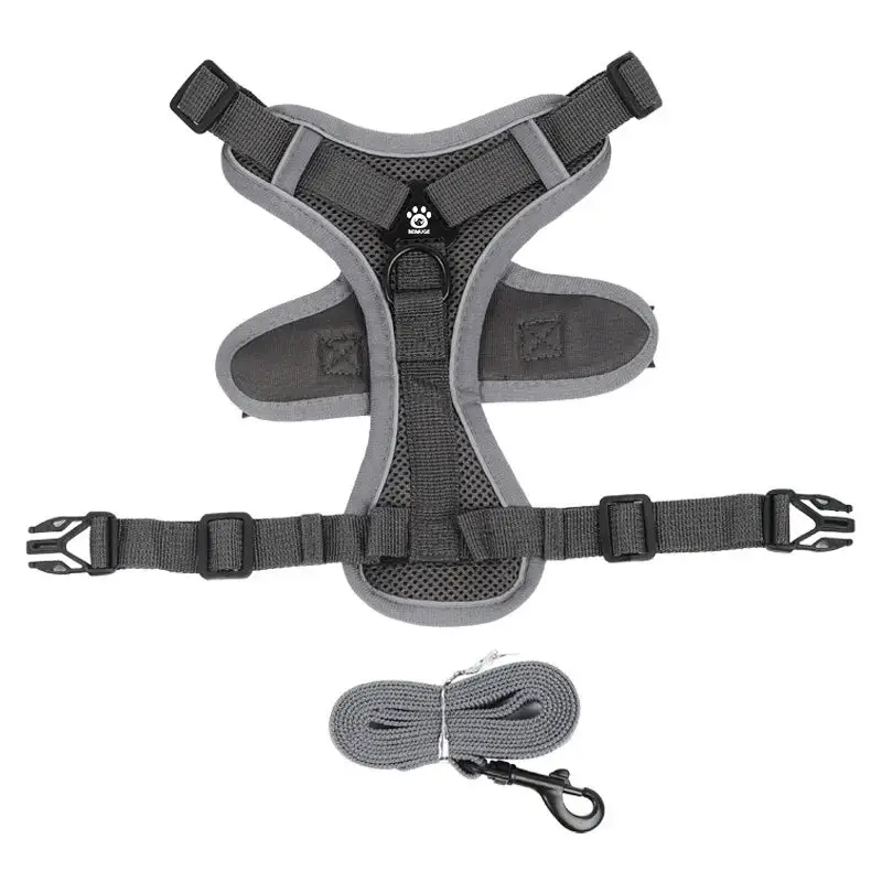 Harnais anti traction petit chien