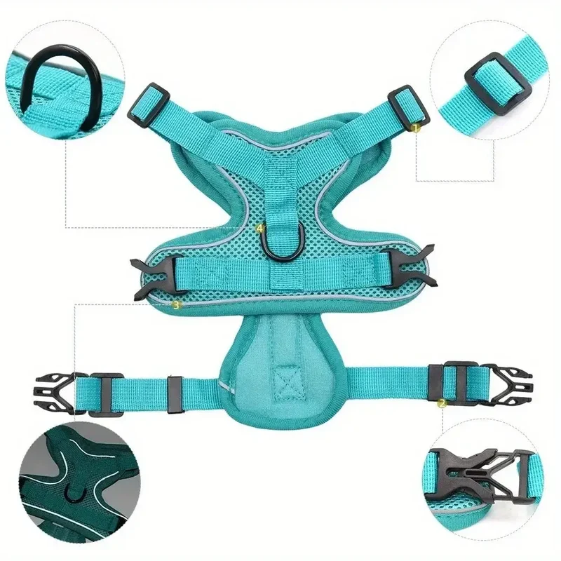 Harnais anti traction petit chien