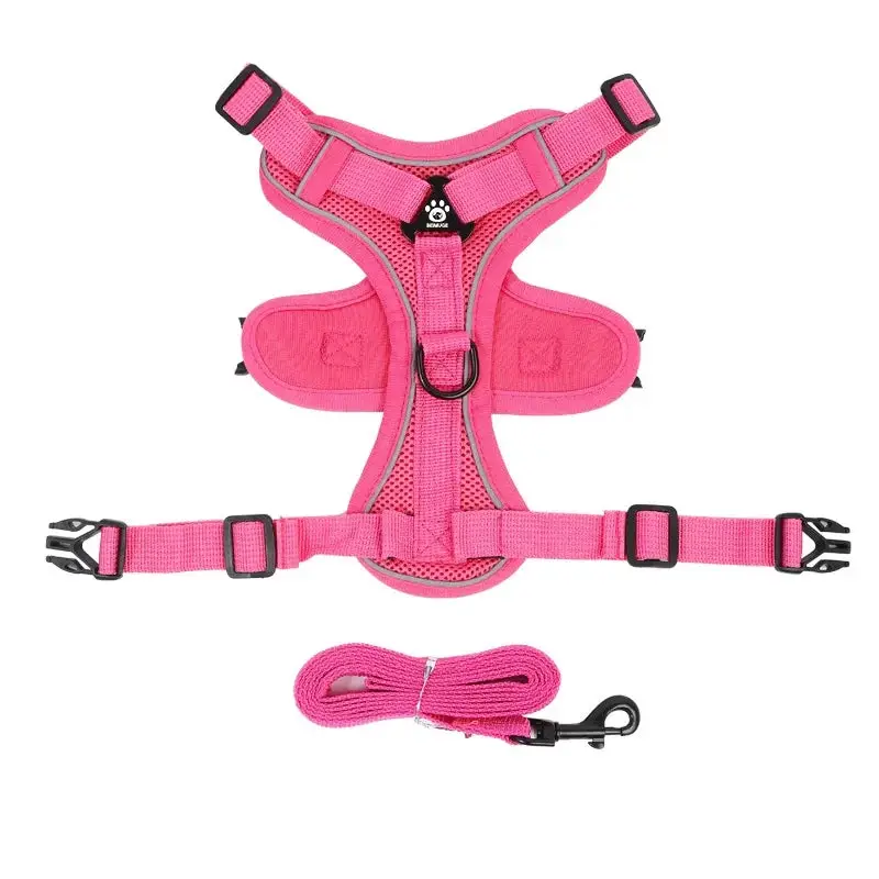 Harnais anti traction petit chien