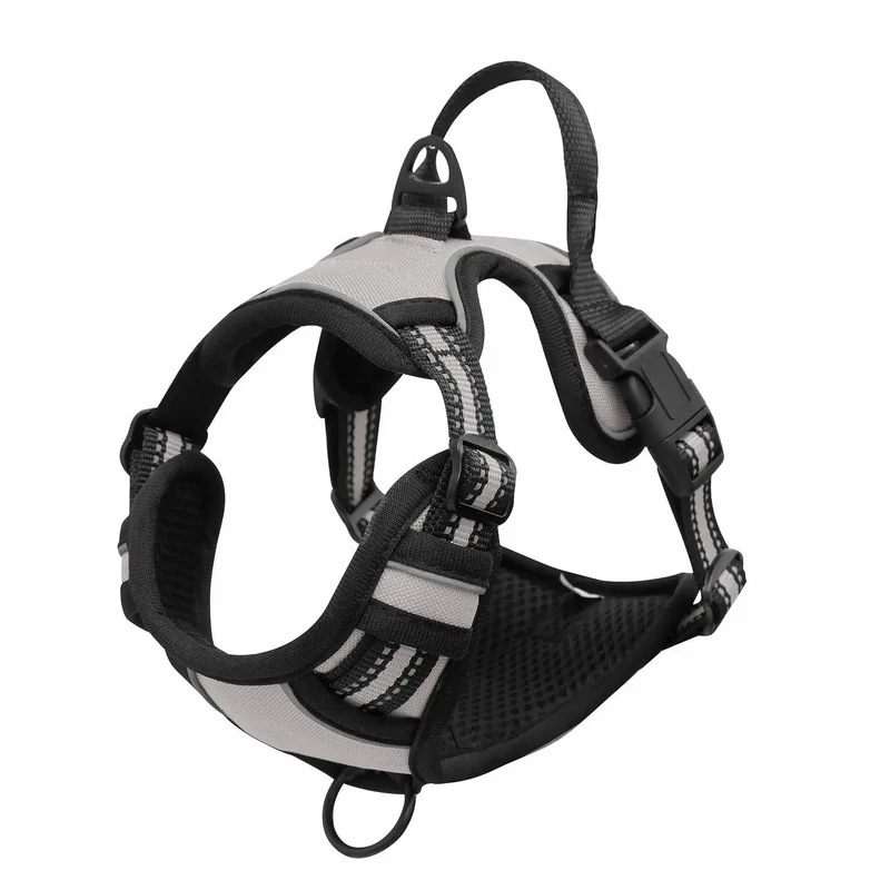 Harnais anti-traction pour gros chien