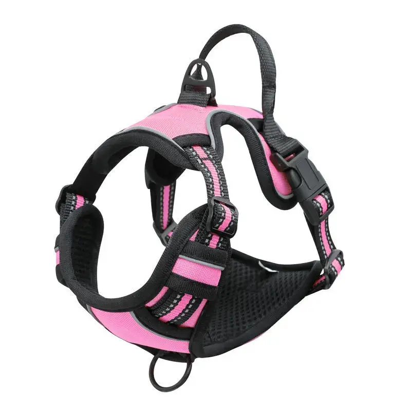 Harnais anti-traction pour gros chien