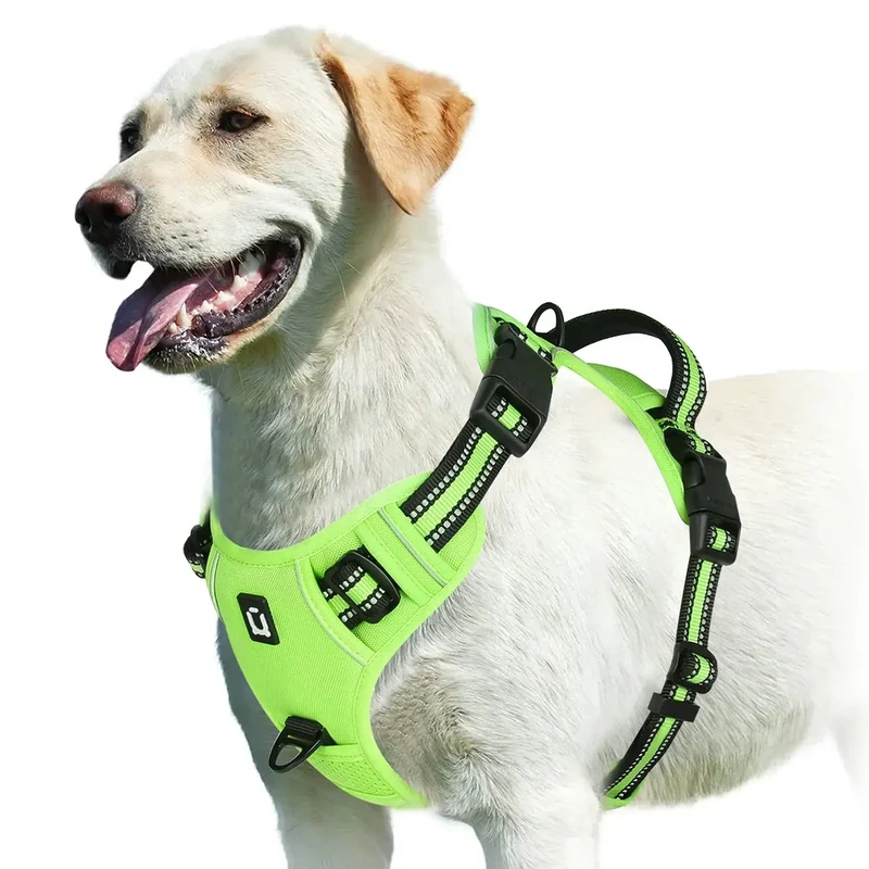 Harnais bouclier pour gros chien