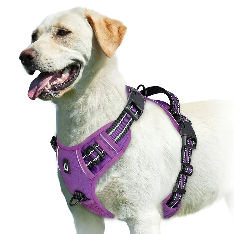 Harnais bouclier pour gros chien