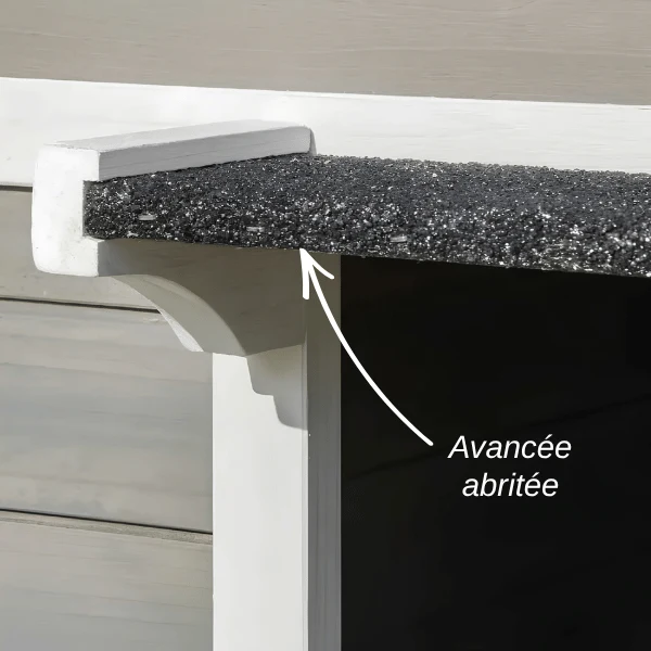 Niche exterieur pour chat - Surélevée étanche en bois - GreenShelter™