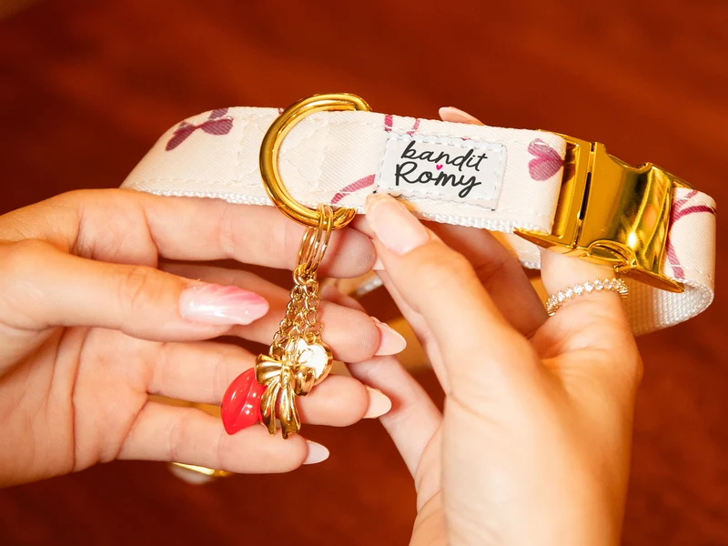 Charms Bandit x Romy
