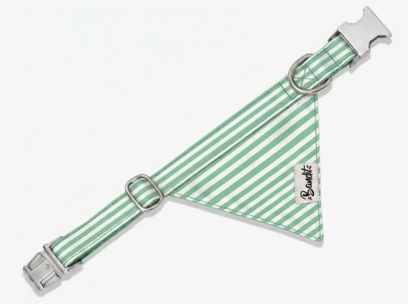 Bandana pour chien rayé vert et blanc