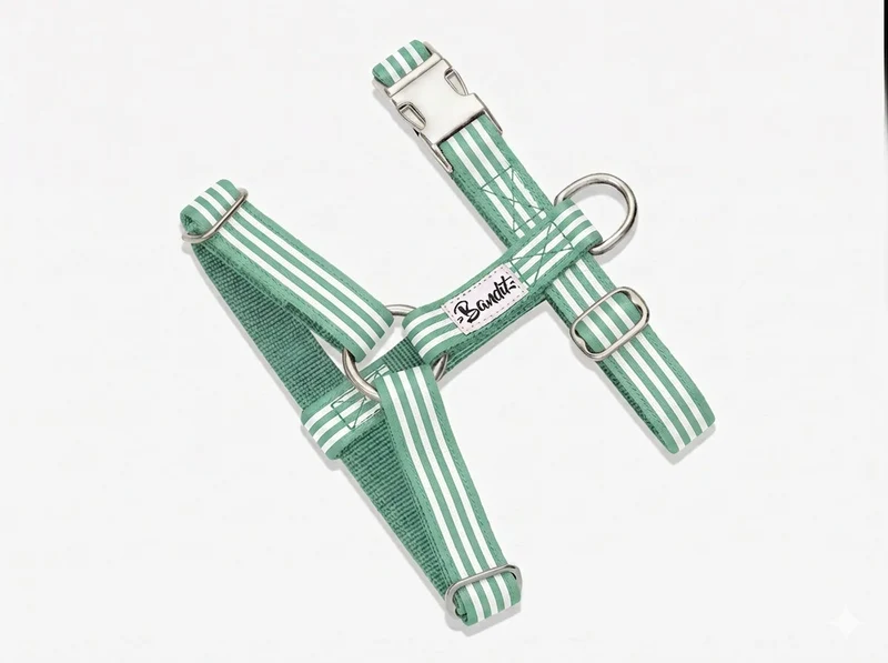 Harnais chien rayé vert et blanc