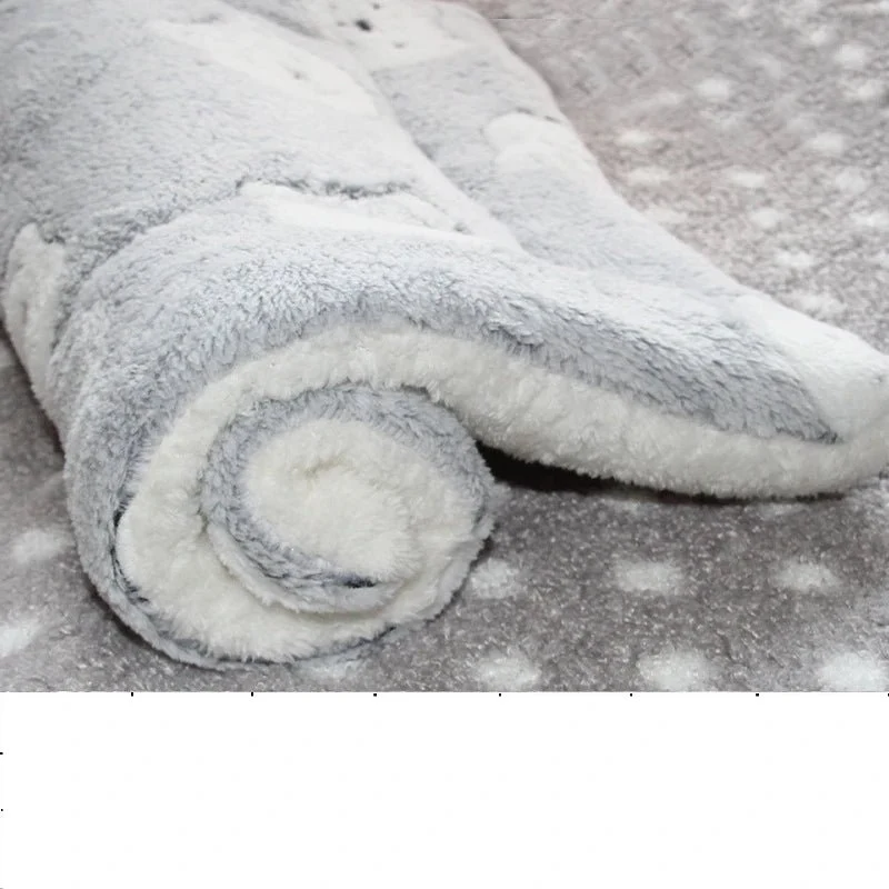 Tapis de sol chien