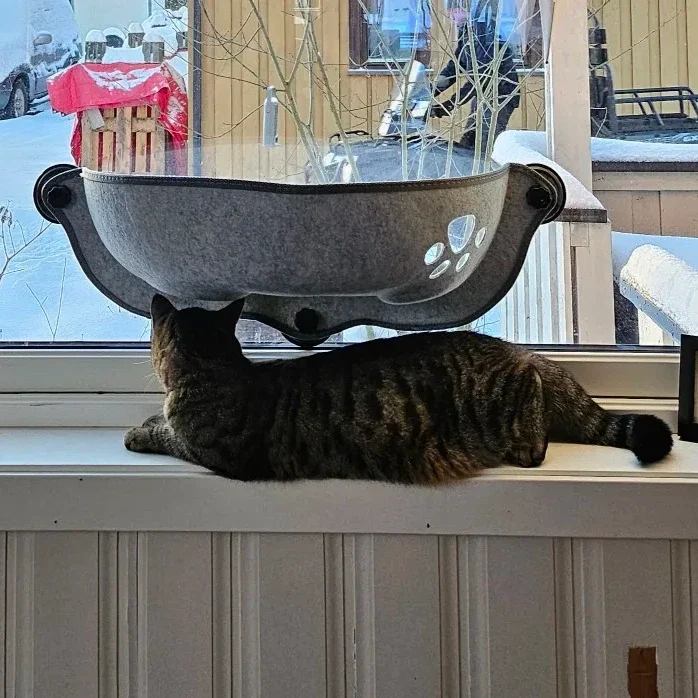 Hamac pour chat suspendu confortable et sûr