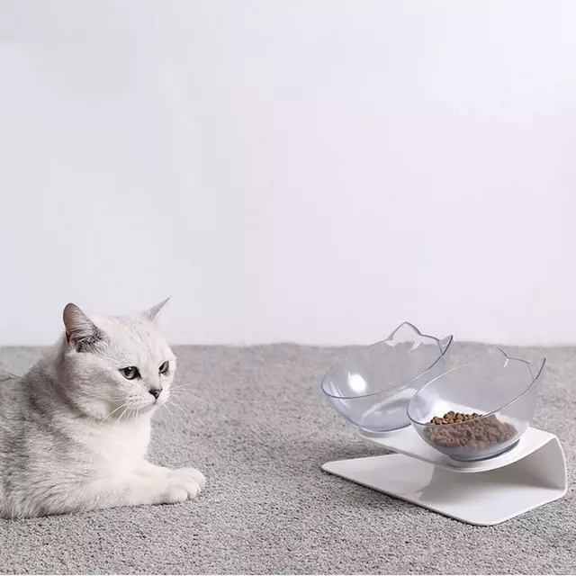 Gamelle inclinée pour chat - Bol orthopédique et anti-vomissement