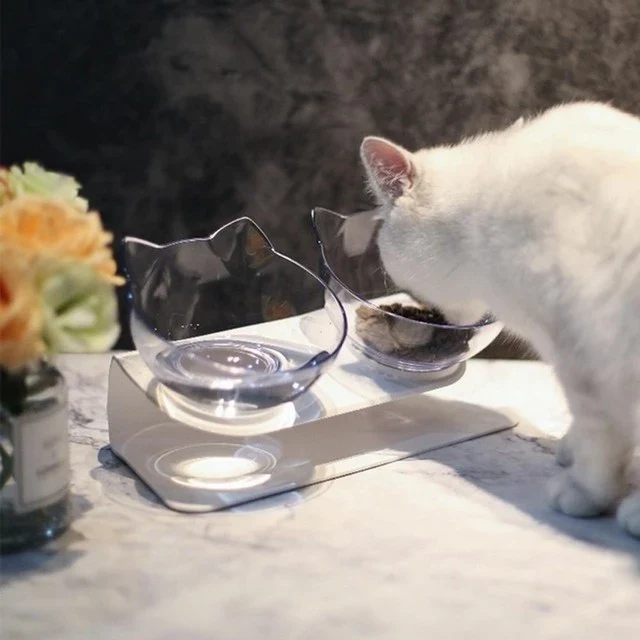 Gamelle inclinée pour chat - Bol orthopédique et anti-vomissement