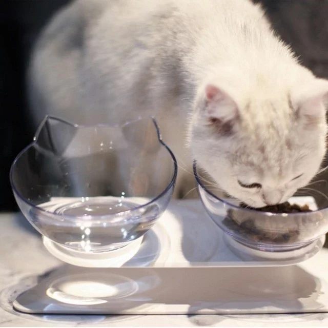 Gamelle inclinée pour chat - Bol orthopédique et anti-vomissement