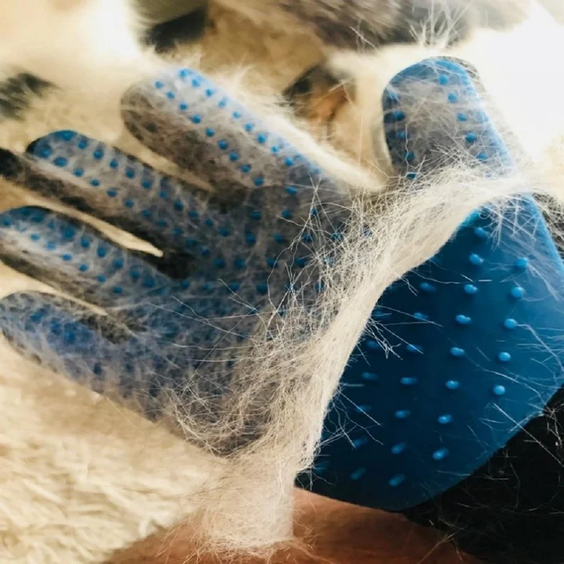 Gant de toilettage pour chat : soin et moment détente avec votre chat