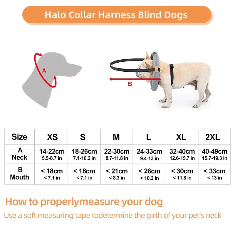 Harnais chien aveugle