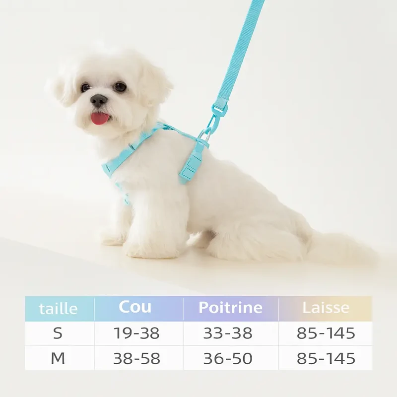 Harnais chien chiot