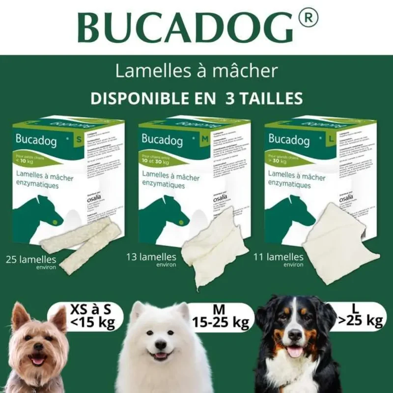 Lamelles Dentaires Bucadog Chien